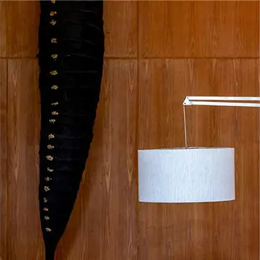 Valuing Brazilian Architecture & Artists